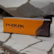 Phoebe Professional Hair Straightner Brush - New In Box. LM-226