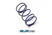 HONDA Ruckus NPS50 Zoomer Racing Center spring clutch driven pulley