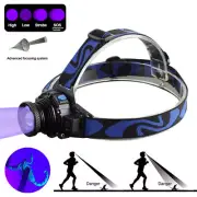 UV Headlamp Rechargeable Blacklight Blood Tracking Pet Cat Dog Urine Torch Light