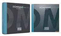 在飛比找Yahoo!奇摩拍賣優惠-【偉博樂器】原廠公司貨正品 奧地利 DOMINANT PRO