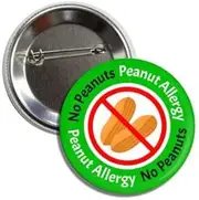 [Lunch Money] Peanut Allergy Warning Safety Button Badge Pin, alunimium, aluminium