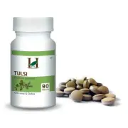 H&C Herbal Ingredients Expert Tulsi - 90 Tablets(350 mg)