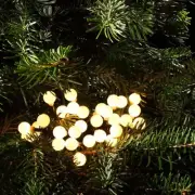 100LED 10M Mini Berry Warm White Solar Christmas Lights