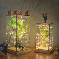 在飛比找蝦皮購物優惠-長方形火樹銀花實木玻璃罩夜燈北歐風LED裝飾台燈創意生日禮物