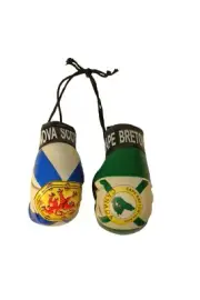 NOVA SCOTIA & CAPE BRETON ISLAND Flags Mini BOXING GLOVES .. New