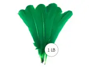 1 Lb. Kelly Green Turkey Tom Rounds Secondary Wing Quill Wholesale Feather Craft