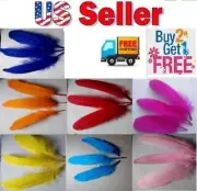 50Pcs Mixed Color Goose Feathers For Diy Crafts - Natural, US Seller