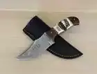 CUSTOM HANDMADE DAMASCUS SKINNER KNIFE WITH STAG HANDLE BEST GIFT BIRTHDAY