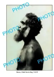 OLD 6 x 4 PHOTO ABORIGINAL 'BOREE' CHIEF OF THE JERVIS BAY TRIBE c1900