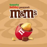 M&M's TOASTY ROASTED PEANUT MIX Candy, VALUE PRICE LIMITED TIME IN POUNDS BAG!!!