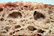 AUTHENTIC SAN FRANCISCO-WHARF-SOURDOUGH STARTER plus recipes @f