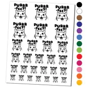 Purrrfect Perfect Cat Temporary Tattoo Water Resistant Set