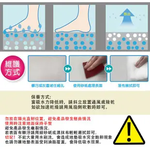 威叔叔 彩繪 珪藻土地墊 (40x30/60x39) MD-137 斜對角撞 蝦皮直送