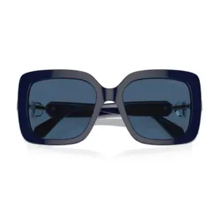 【SWAROVSKI 施華洛世奇】時尚大框太陽眼鏡(SK6001F-100455)