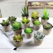 2pcs Decorative Faux Succulent Artificial Succulent Fake Simulation Plants