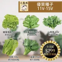 在飛比找momo購物網優惠-【小美紀】高優質 種子(窩苣 茼蒿 A菜 菠菜 菜苗 土壤種