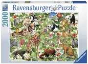 Jungle Jigsaw Puzzle, 2000 Piece