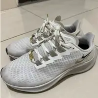 在飛比找蝦皮購物優惠-NIKE AIR ZOOM PEGASUS 37 白金銀 雙