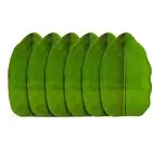 Melamine Banana Leaf Shape Plate 19 X 12 CM (Pack of 6)