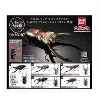 在飛比找蝦皮商城精選優惠-【BTF】現貨 BANDAI 扭蛋 生物大圖鑑07 甲蟲 鹿