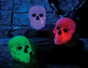 Skull Head - Color Changing - Plastic - Decor - Light Up - Costume Accessory