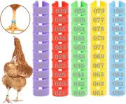 16Mm 100 Pcs Chicken Leg Rings - Colorful Readable Numbered Chicken