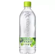 Coca Cola I LOHAS Shine Muscat Flavored Water 540ml × 24 bottles