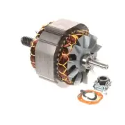 Globe X2006067 Motor Assembly Sp20 (1/2 Hp)