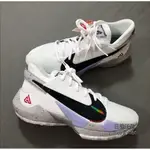 日韓代購 NIKE ZOOM FREAK 2 EP "WHITE CEMENT" 白水泥 CK5825-100