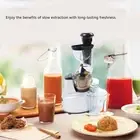 AU 500W Slow Juicer Slow Masticating Juicer Machine Cold Press Juicer For Fruits