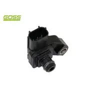 RAE MAP Sensor - MP136
