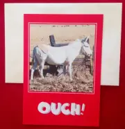 "Pain In The Donkey", (1) Leanin' Tree Get Well Card, New With (1) Envelope