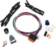 Namz Stand Alone Ignition Wiring Harness for Twin Cam