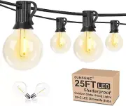 25Ft Globe Led Indoor/Outdoor String Lights - G40 Bulb - E12 Base Clear Lights
