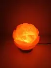 Himalayan Pink Salt Lamps + 12V 12W Switch - Rose Shape Crystal Light