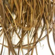 Tan Brown Goose Biots Feather Pack 10 gram