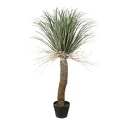[Florabelle Living] Grass Tree Small 1.1M