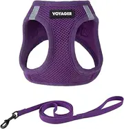 Voyager Step-in Air Cat Leash Harness Set - All Weather Mesh, Step in Vest Harness for Small and Large Cats by Best Pet Supplies - Purple, M (Chest 15-17")