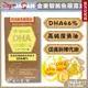 日本【金樂智 鮪魚眼窩油 60粒入】DHA46% 日本原裝進口 高純度魚油 Omega-3 日本魚油 深海魚油 兒童魚油