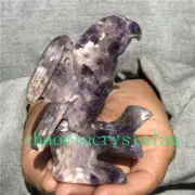 0.33LB Natural Dreamy Amethyst parrot Skull Quartz Crystal Carved Reiki XK1426