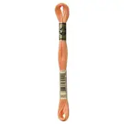 DMC 6-Strand Embroidery Cotton 8.7yd Pale Pumpkin
