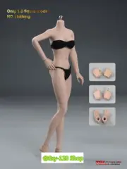 TBLeague PH 1/6 S27B Medium Breast Suntan Flexible 12" Female Action Figure Bod