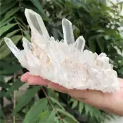 490g Natural clear quartz cluster quartz crystal mineral specimen reiki healing