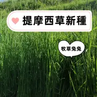 在飛比找蝦皮購物優惠-牧草種子（Timothy Hay) 提摩西草種子禾本科貓尾草