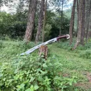 Custom Handmade Carbon Steel Blade Survival Machete Sword- Hunting Sword Camping