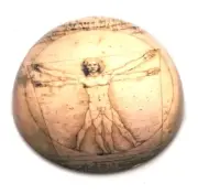 Universal Vitruvian Man Da Vinci Glass Dome Paperweight by Davinci
