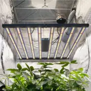 FC6500 Spider LED Commercial Grow Light Sunlike Full Spectrum Indoor Plants Veg