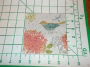 Two Decorative Cocktail Napkins for Decoupage "Sketch Floral"