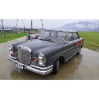 在飛比找蝦皮購物優惠-古董車出租 1965年W111賓士 婚紗攝影 外拍 mv拍攝