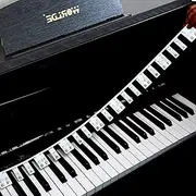 Piano Keyboard Stickers, Full-Size Piano Rake Key Labels Overlay Removable for Beginners Kids (88 Full Keys - Style 2)